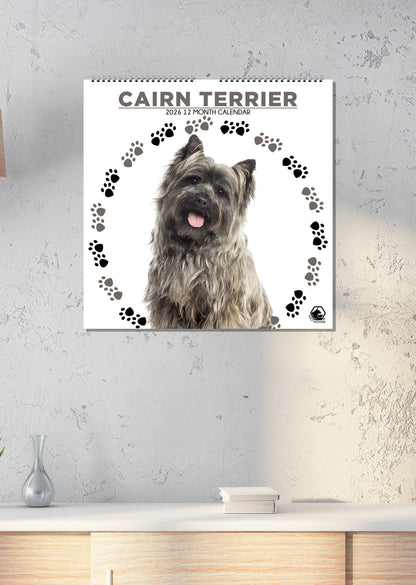 Cairn Terrier - Square Calendar 2026