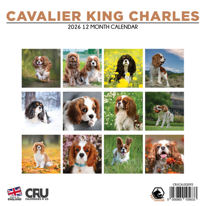 Cavalier King Charles - Square Calendar 2026