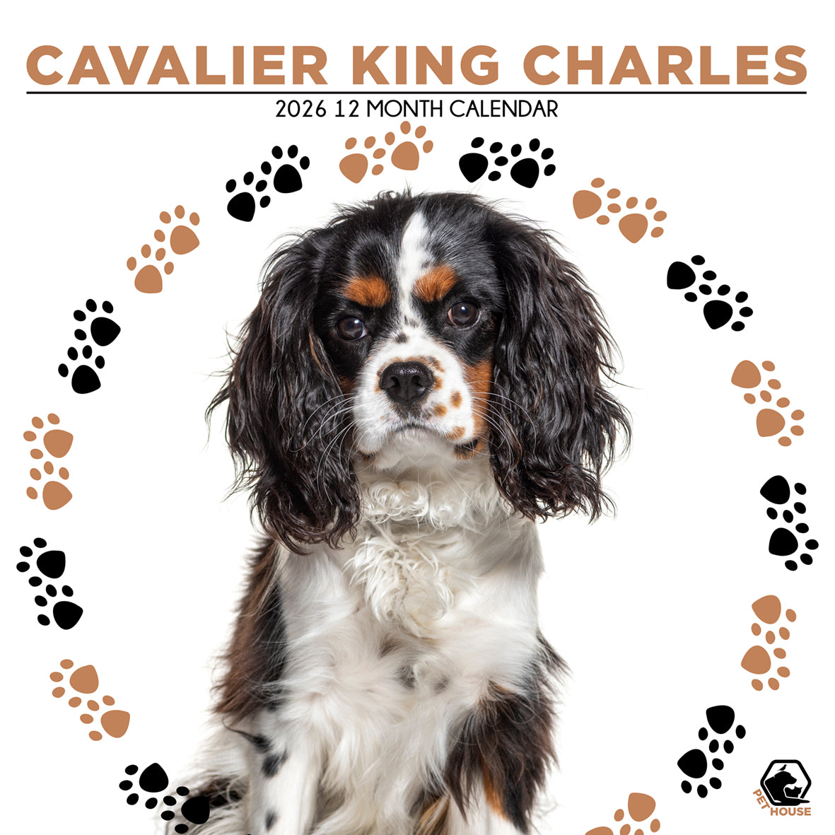 Cavalier King Charles - Square Wholesale