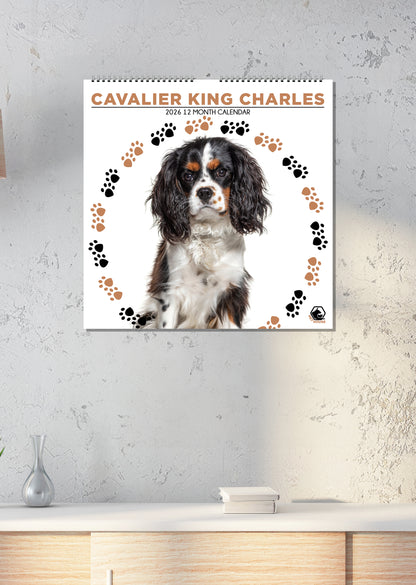 Cavalier King Charles - Square Calendar 2026