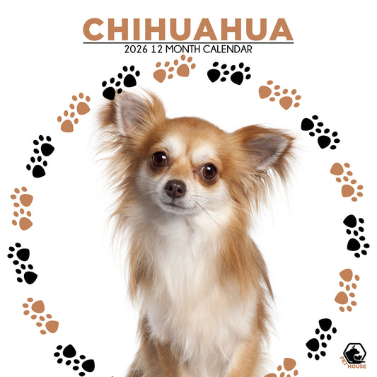 Chihuahua - Square Calendar 2026