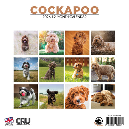 Cockapoo - Square Calendar 2026