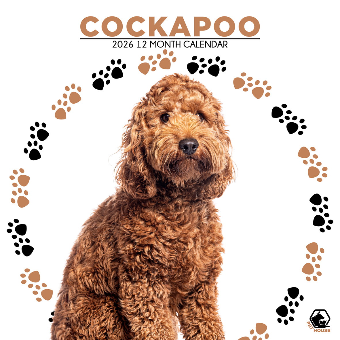 Cockapoo - Square Calendar 2026 – CalendarsRus