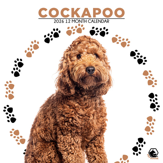 Cockapoo - Square Calendar 2026