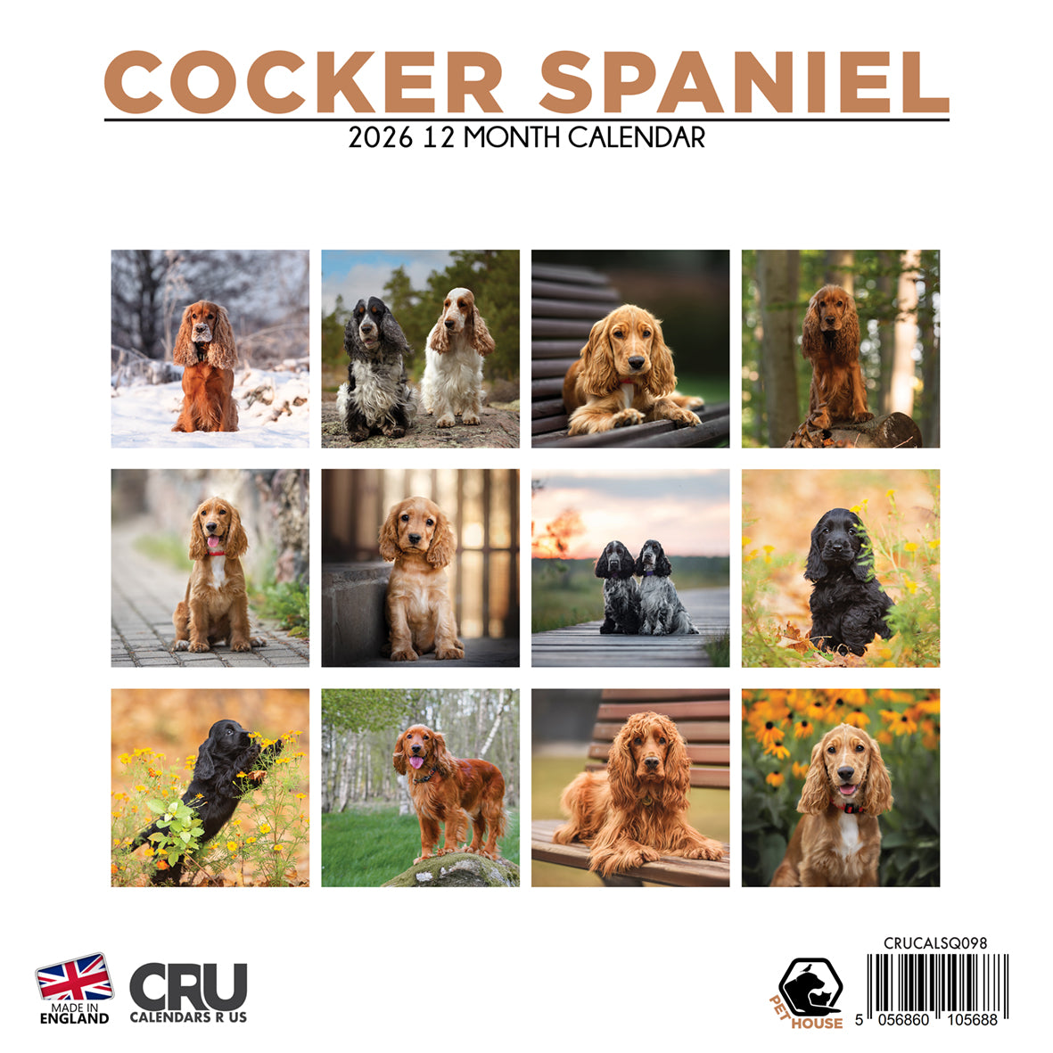 Cocker Spaniel - Square Calendar 2026