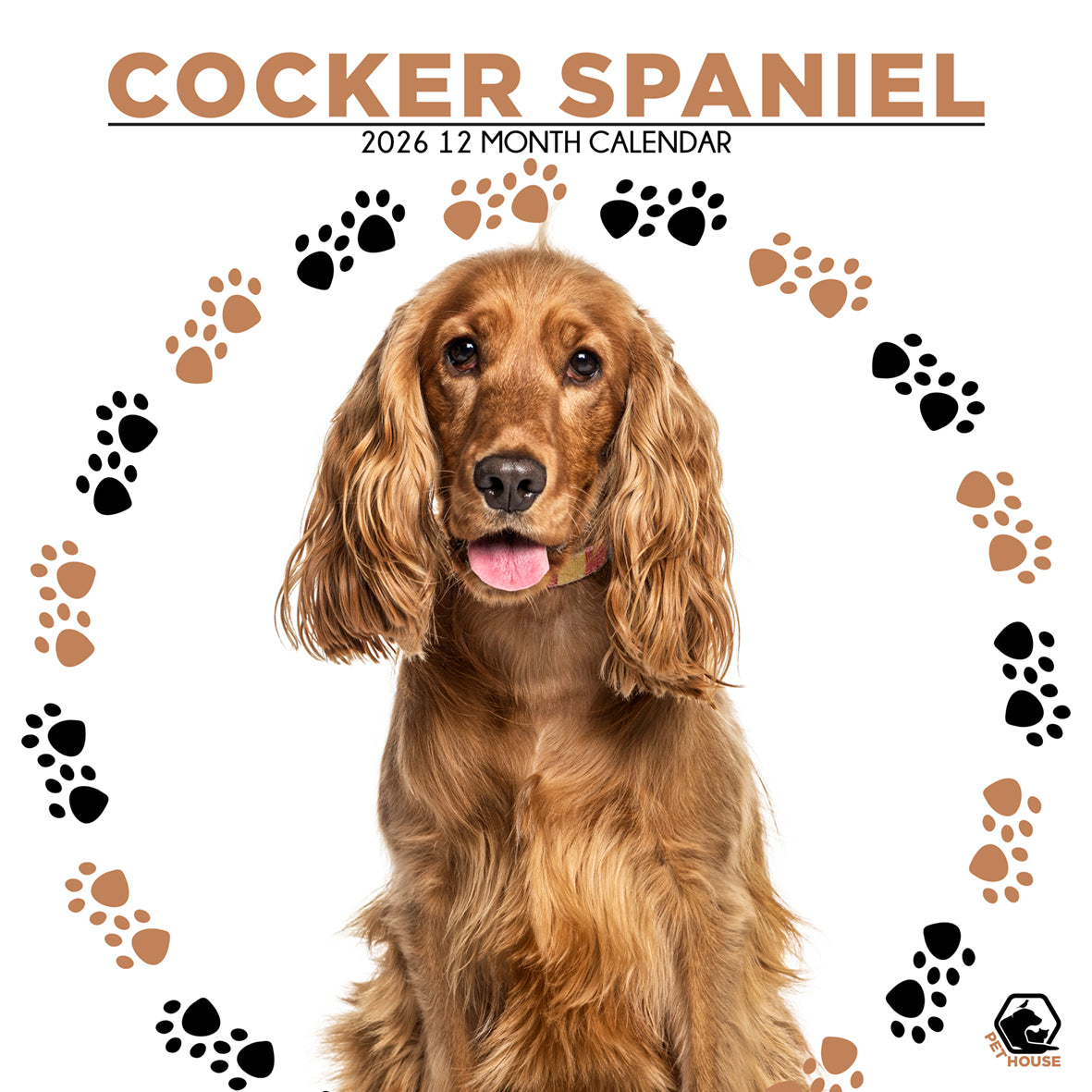 Cocker Spaniel - Square Calendar 2026