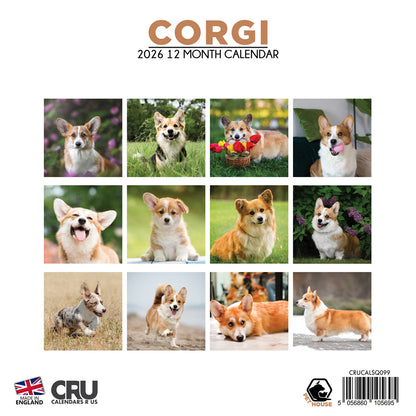Corgi - Square Calendar 2026