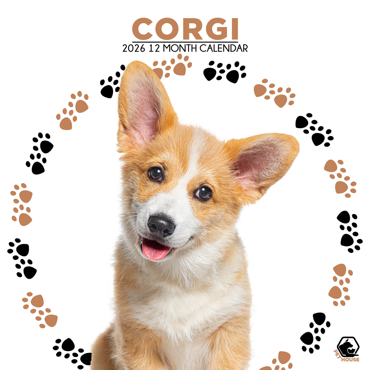 Corgi - Square Calendar 2026