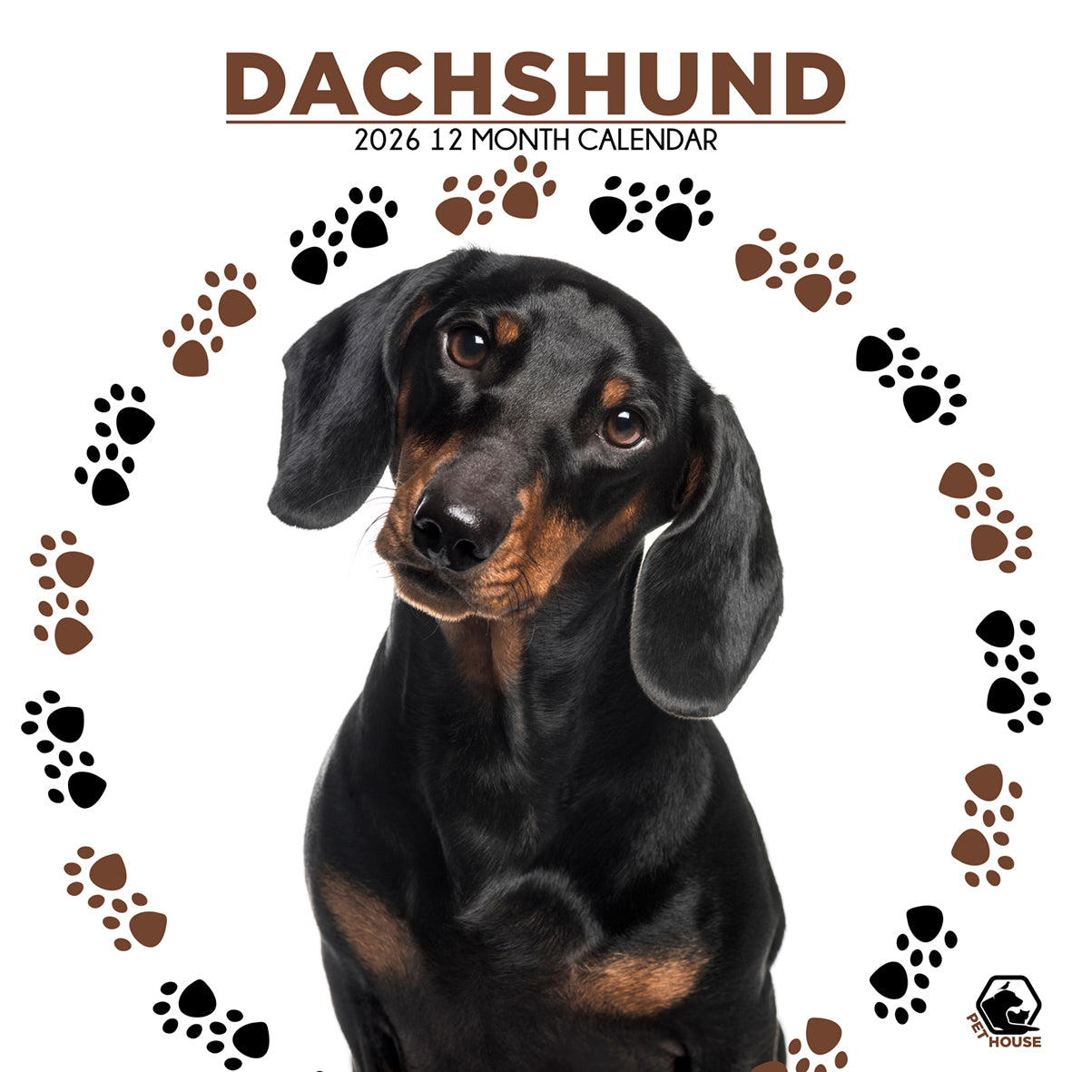 Dachshund - Square Calendar 2026