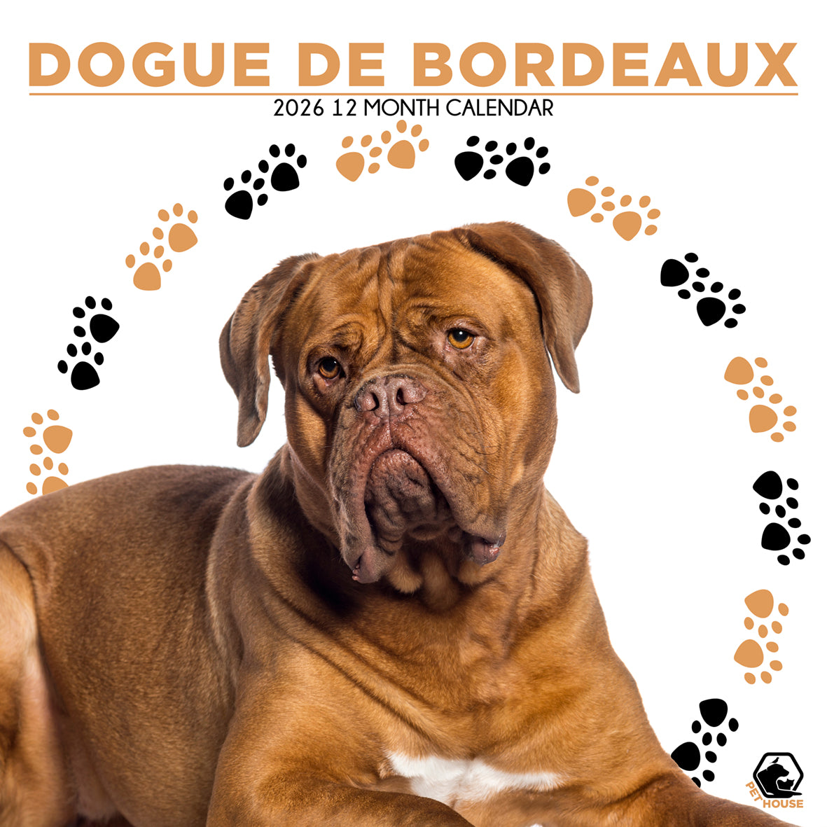 Dogue De Bordeaux - Square Calendar 2026