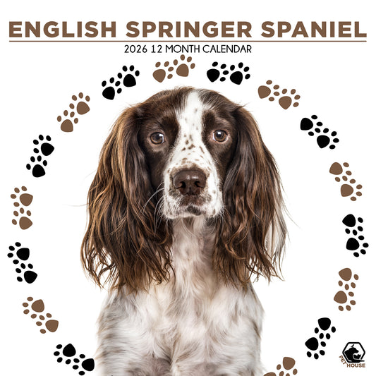 English Springer Spaniel - Square Calendar 2026