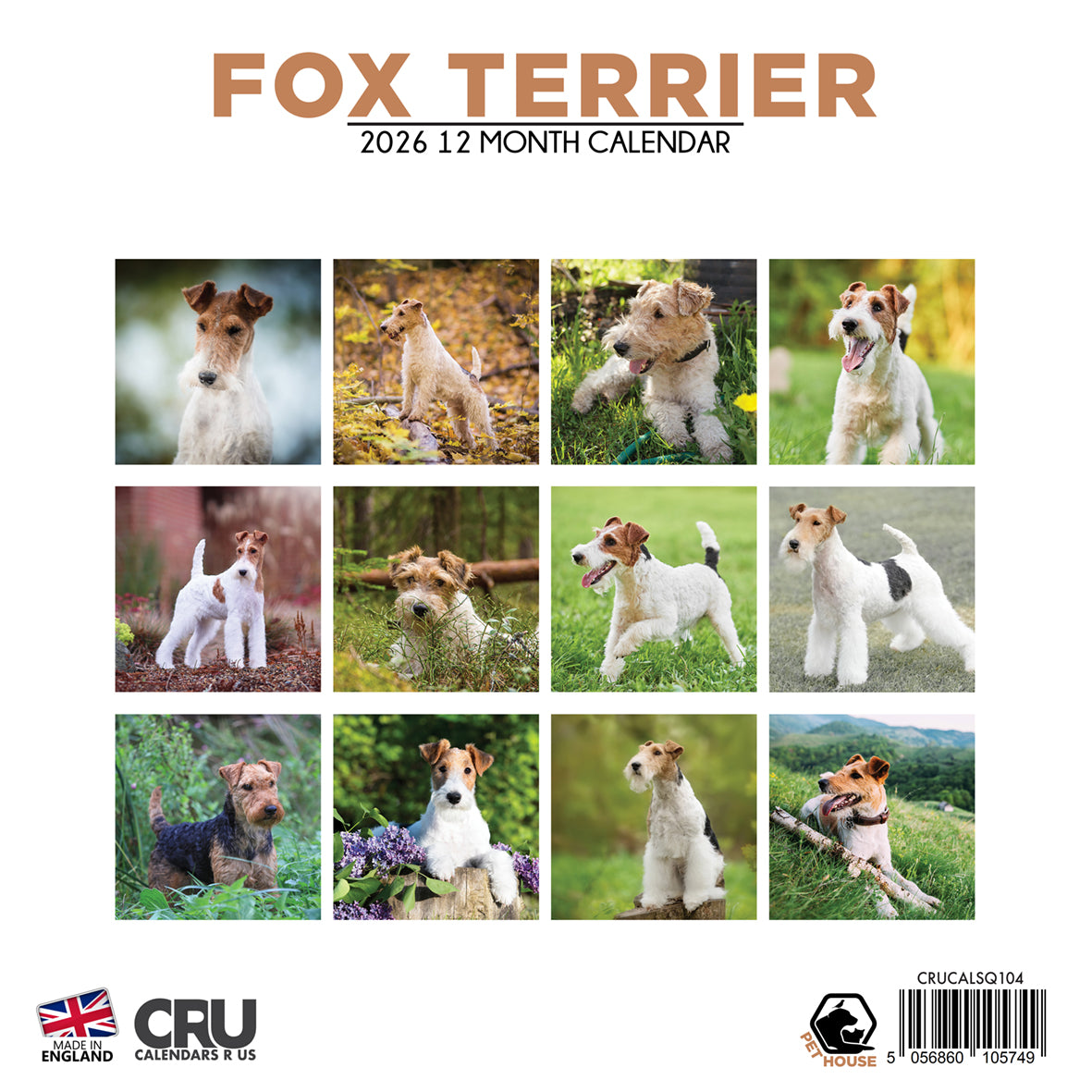 Fox Terrier - Square Calendar 2026
