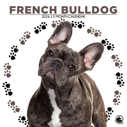 French Bulldog - Square Calendar 2026