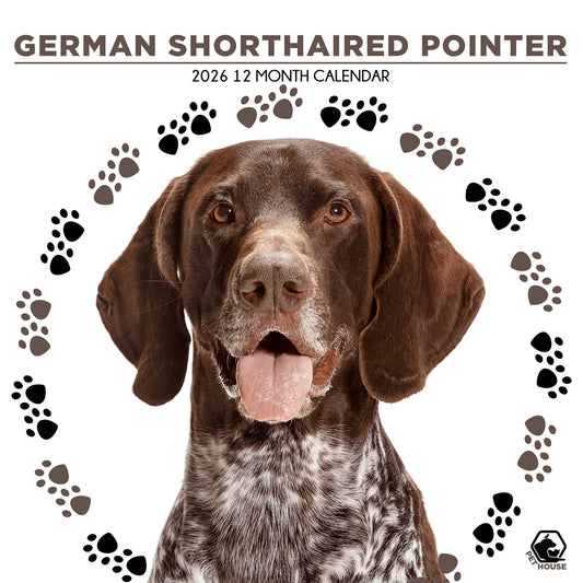 German Shorthaired Pointer - Square Calendar 2026