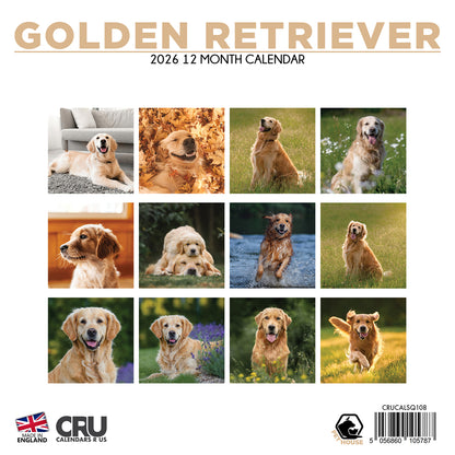 Golden Retriever - Square Calendar 2026