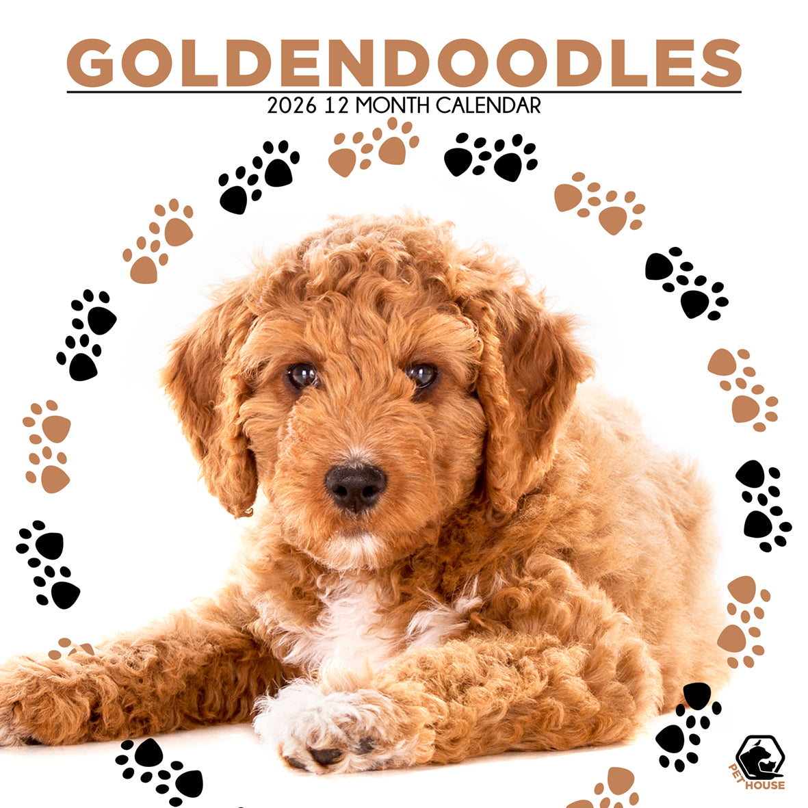 Goldendoodles - Square Calendar 2026