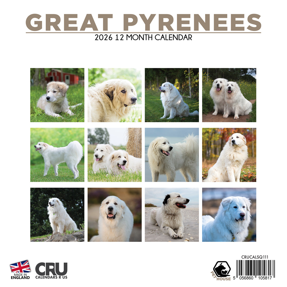 Great Pyrenees - Square Calendar 2026