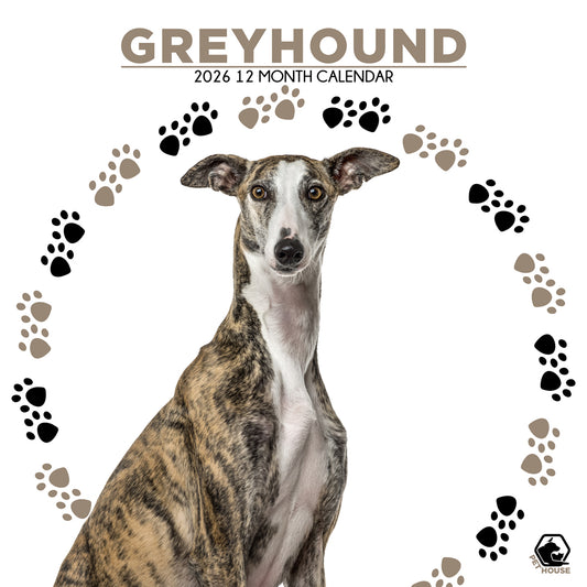 Greyhound - Square Calendar 2026