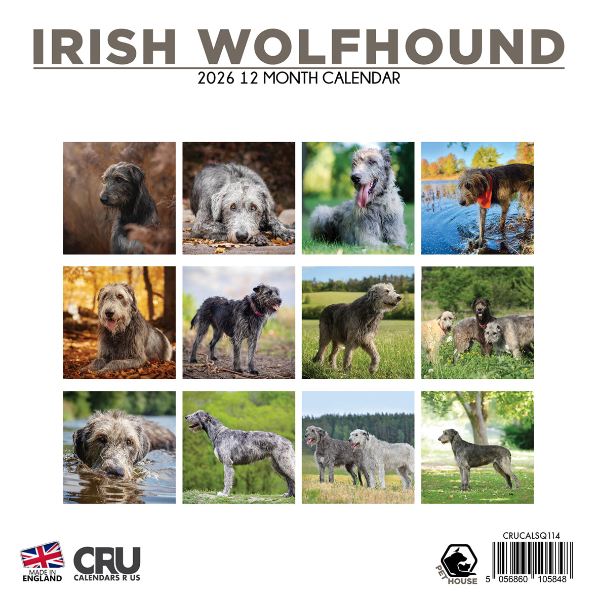 Irish Wolfhound - Square Calendar 2026