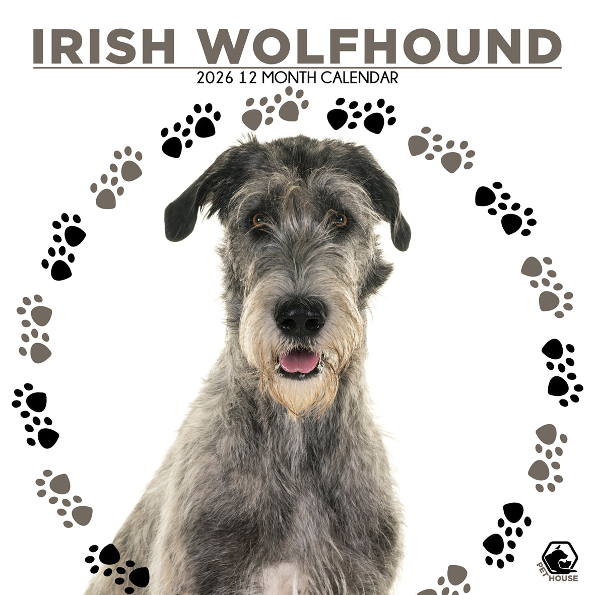 Irish Wolfhound - Square Calendar 2026