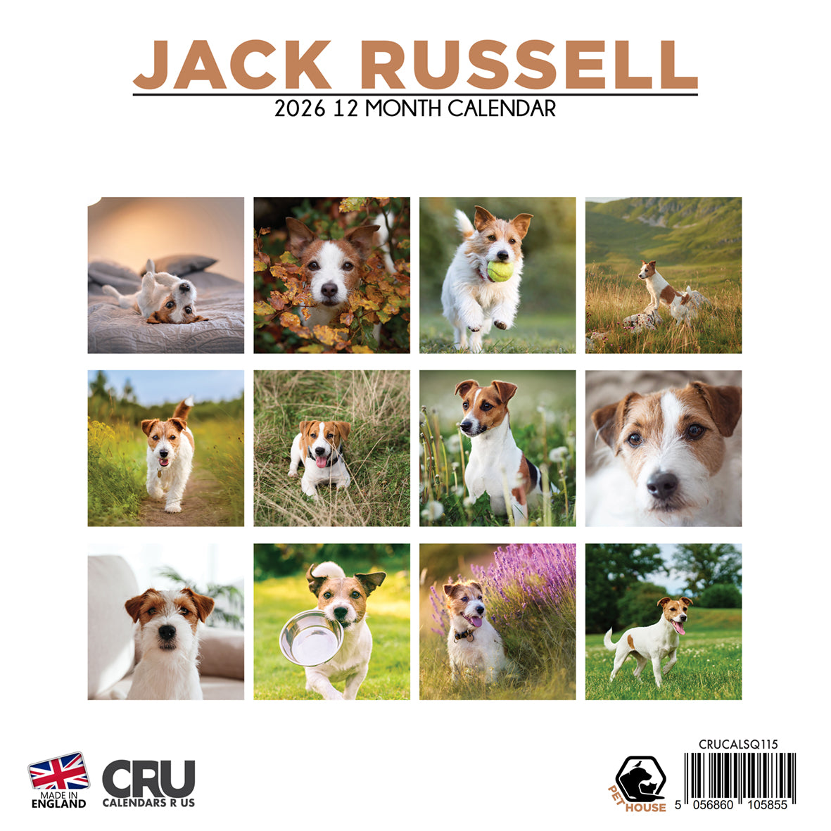 Jack Russell - Square Calendar 2026