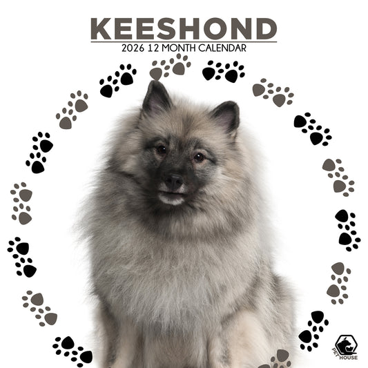 Keeshond - Square Calendar 2026