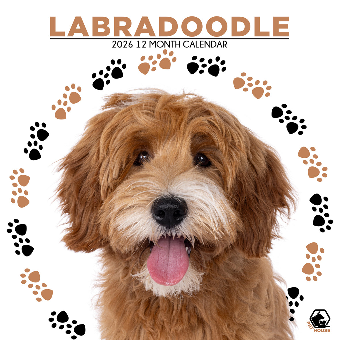 Labradoodle - Square Calendar 2026