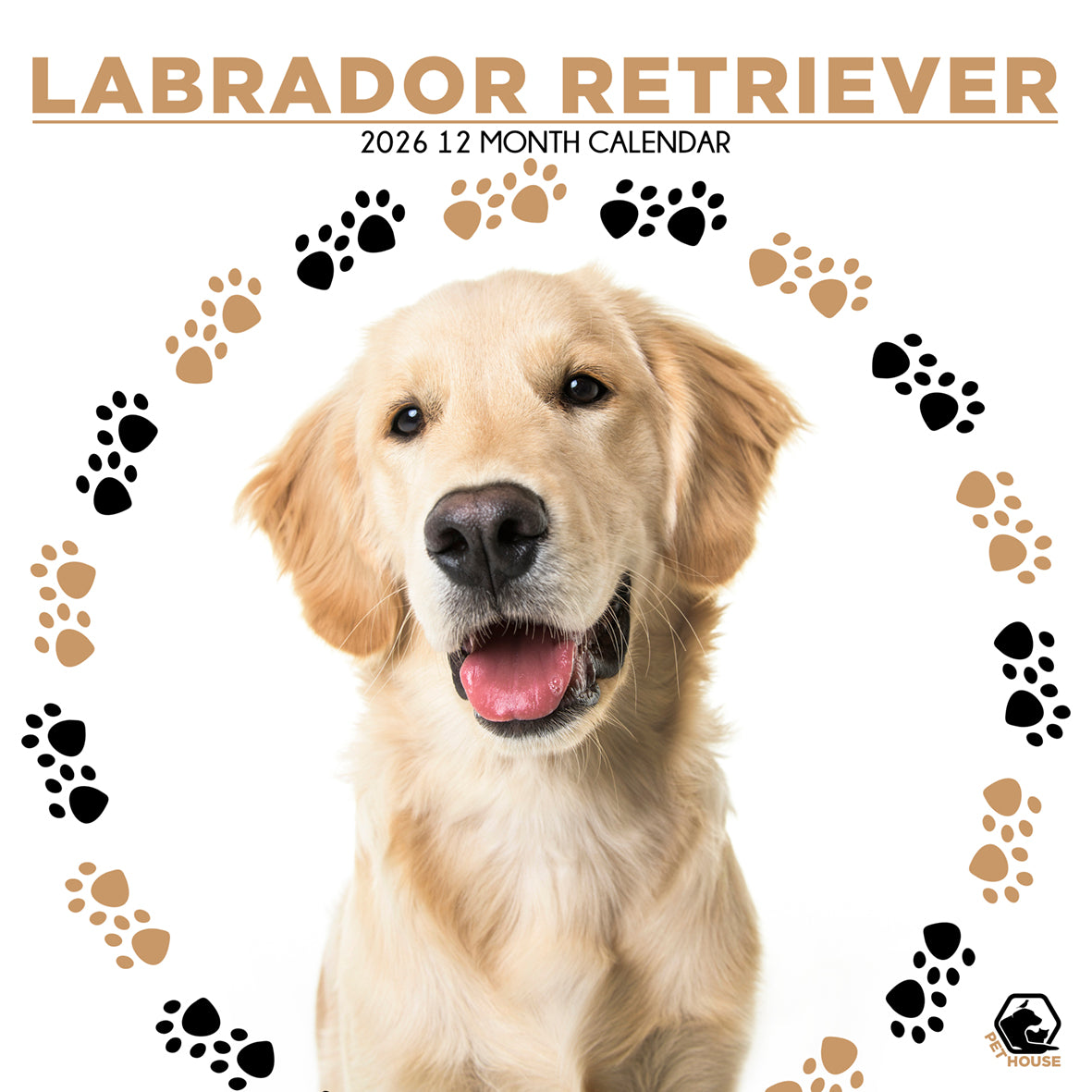 Labrador Retriever Yellow - Square Calendar 2026