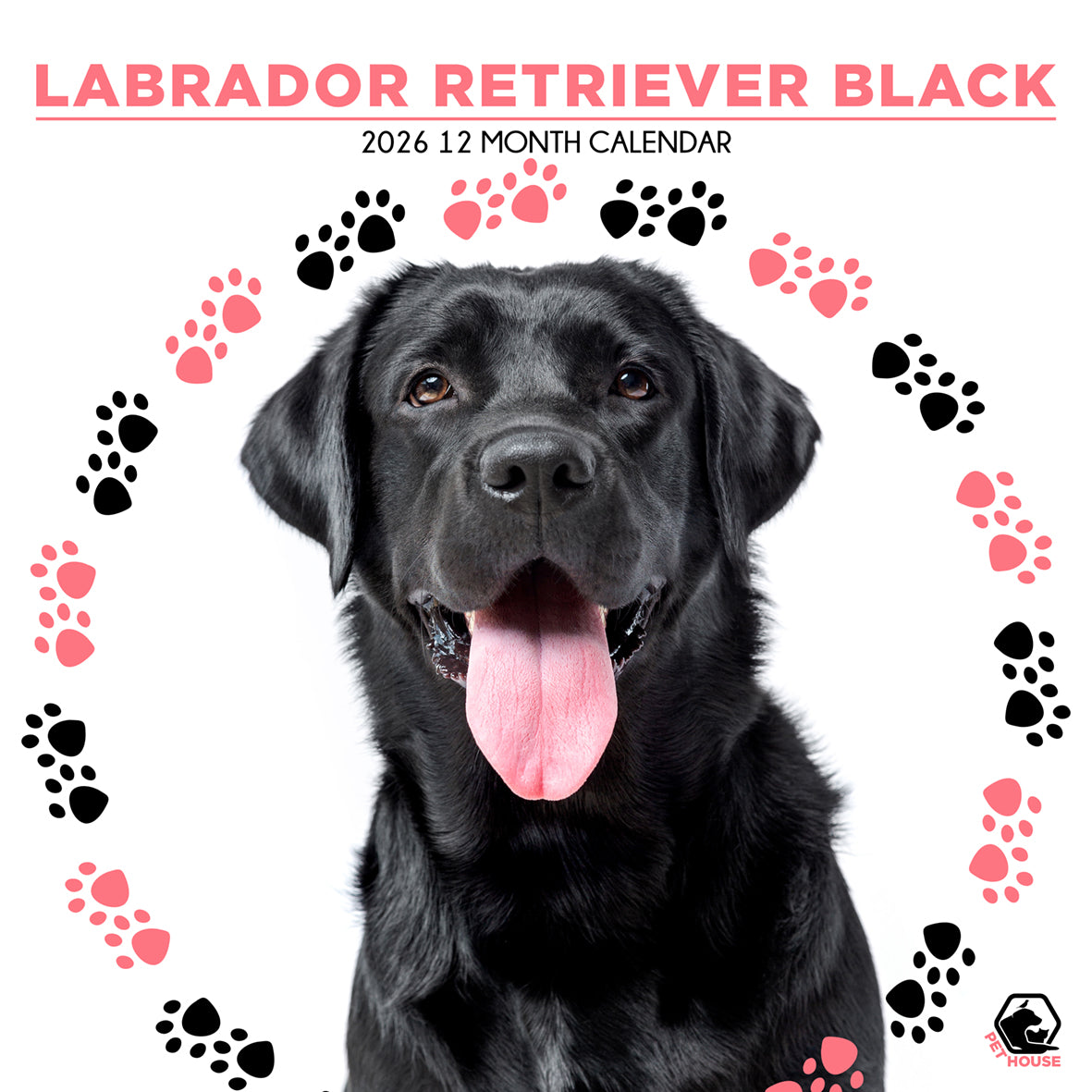 Labrador Retriever Black - Square Calendar 2026