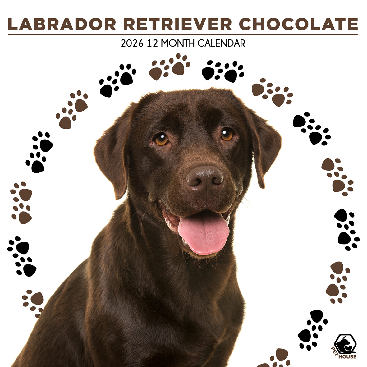 Labrador Retriever Choc - Square Calendar 2026