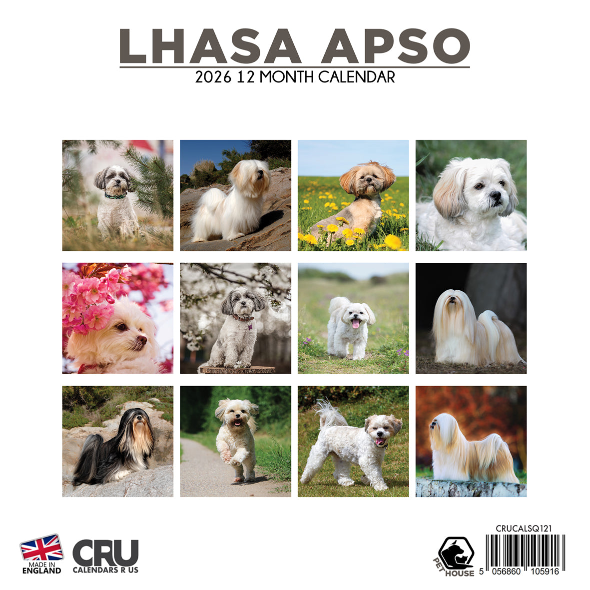 Lhasa Apso - Square Calendar 2026