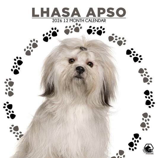 Lhasa Apso - Square Calendar 2026