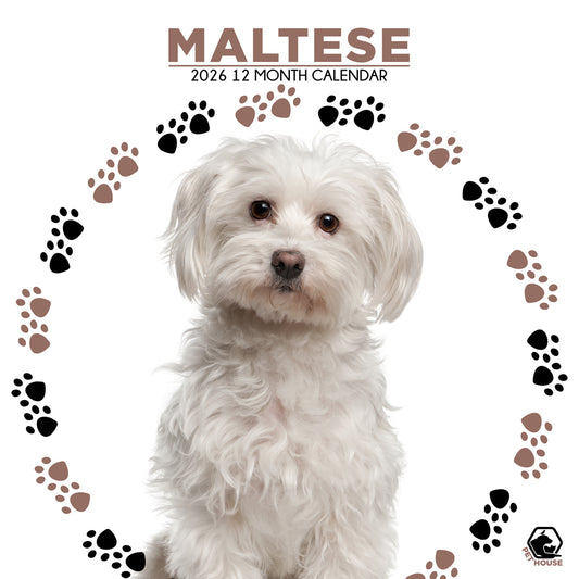 Maltese - Square Calendar 2026