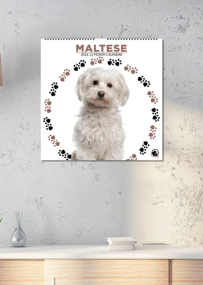 Maltese - Square Calendar 2026
