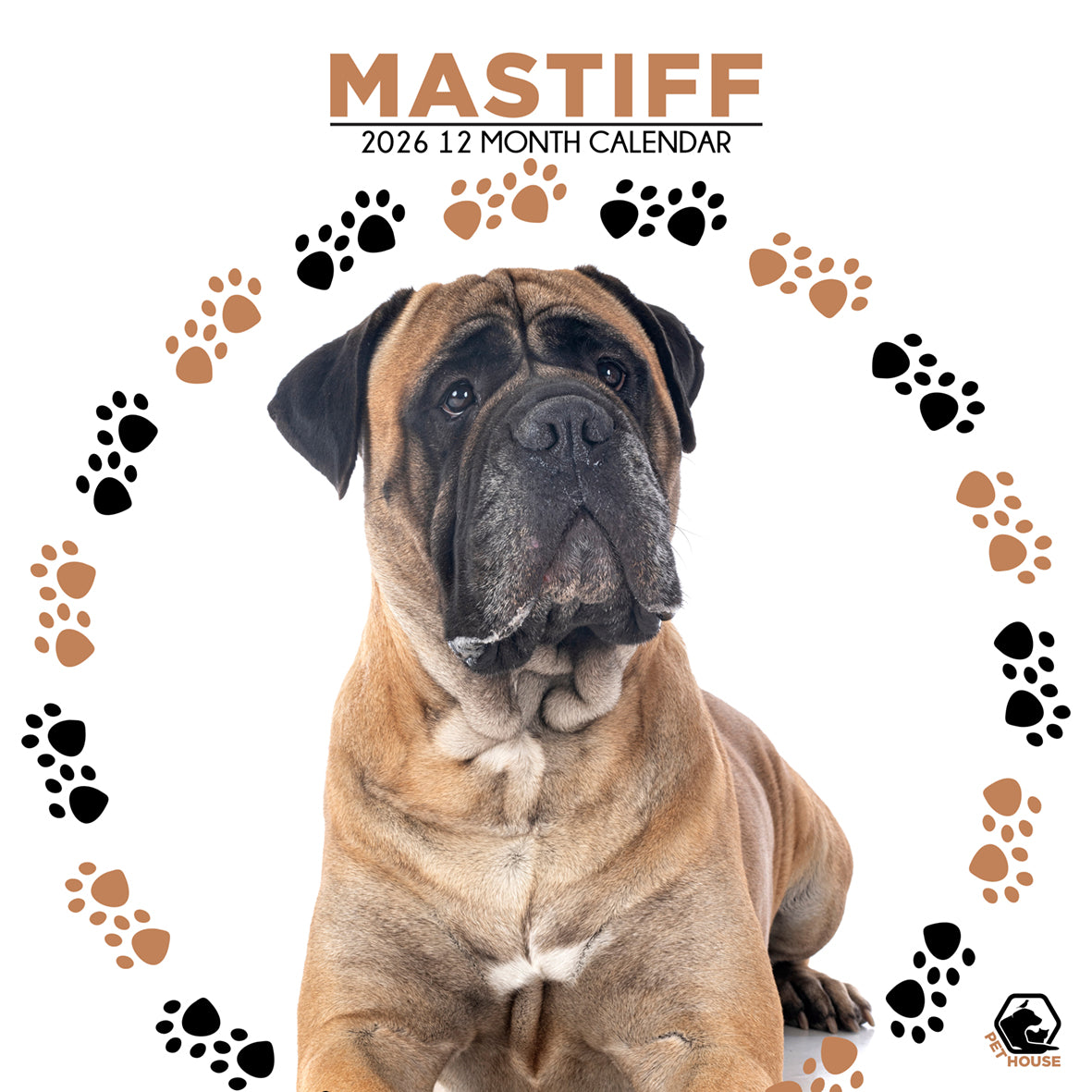 Mastiff - Square Calendar 2026