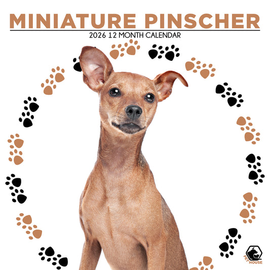 Miniature Pinscher - Square Calendar 2026