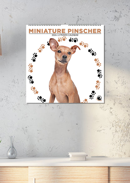 Miniature Pinscher - Square Calendar 2026
