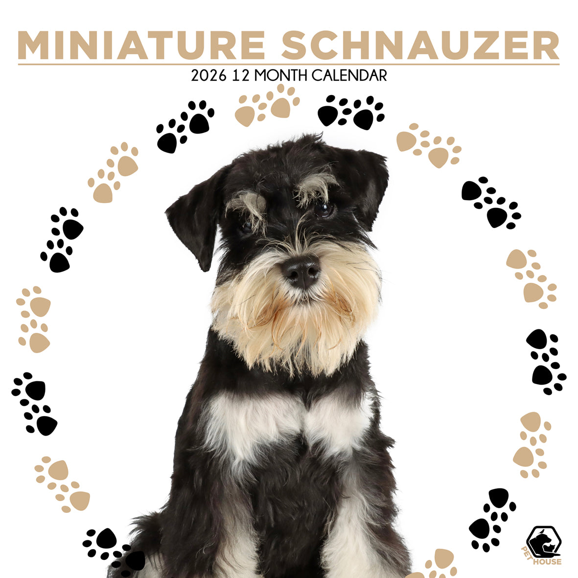 Miniature Schnauzer - Square Calendar 2026