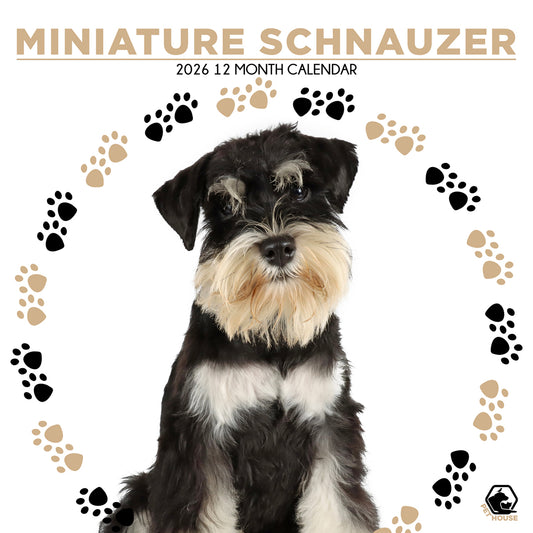 Miniature Schnauzer - Square Wholesale