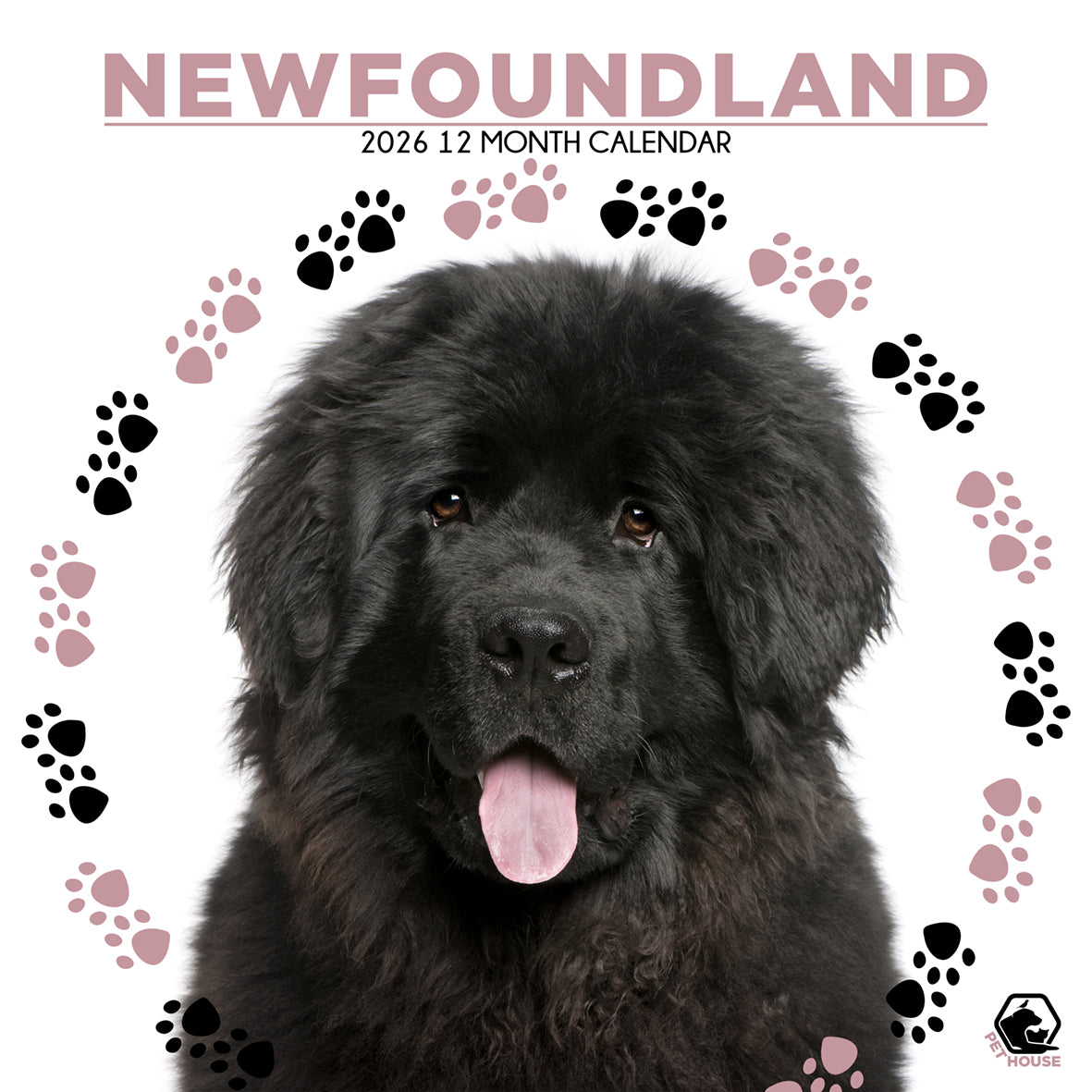 Newfoundland - Square Calendar 2026