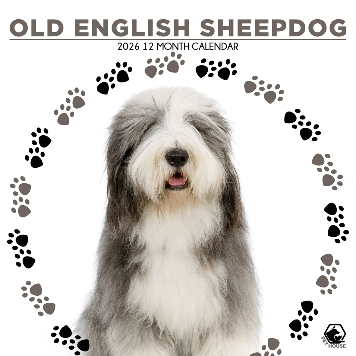 Old English Sheepdog - Square Calendar 2026