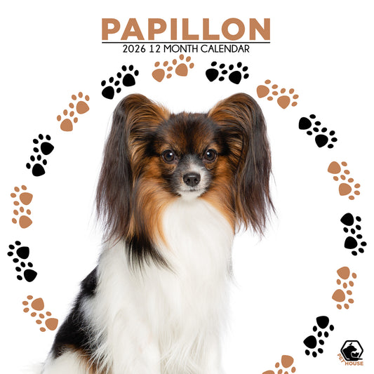 Papillon - Square Calendar 2026