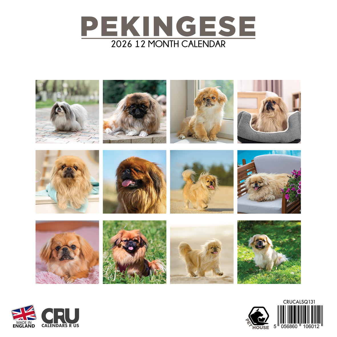 Pekingese - Square Calendar 2026