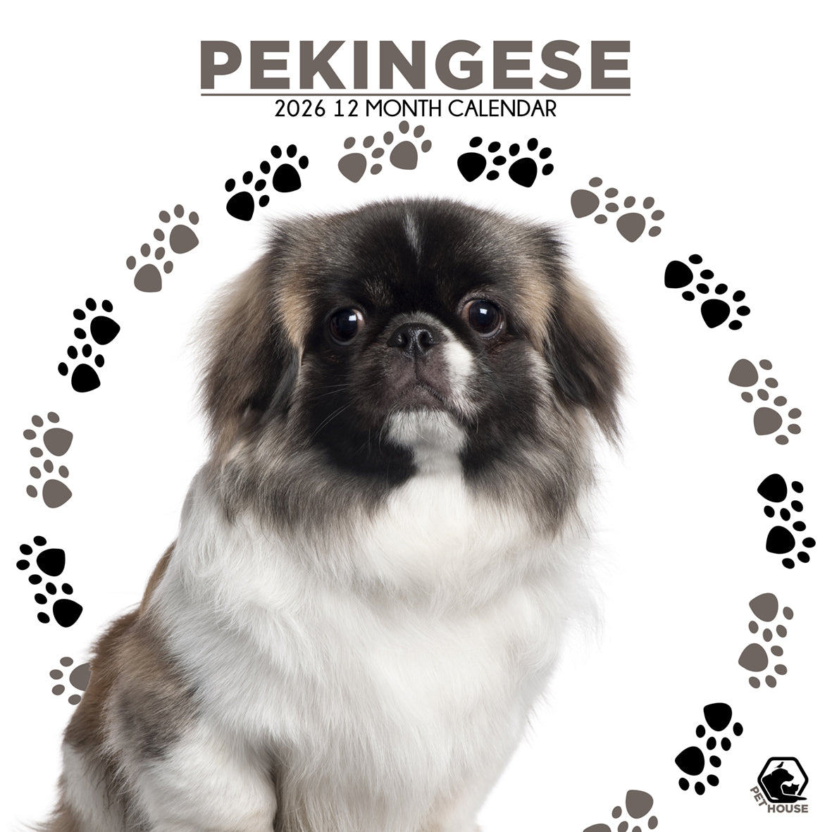 Pekingese - Square Calendar 2026