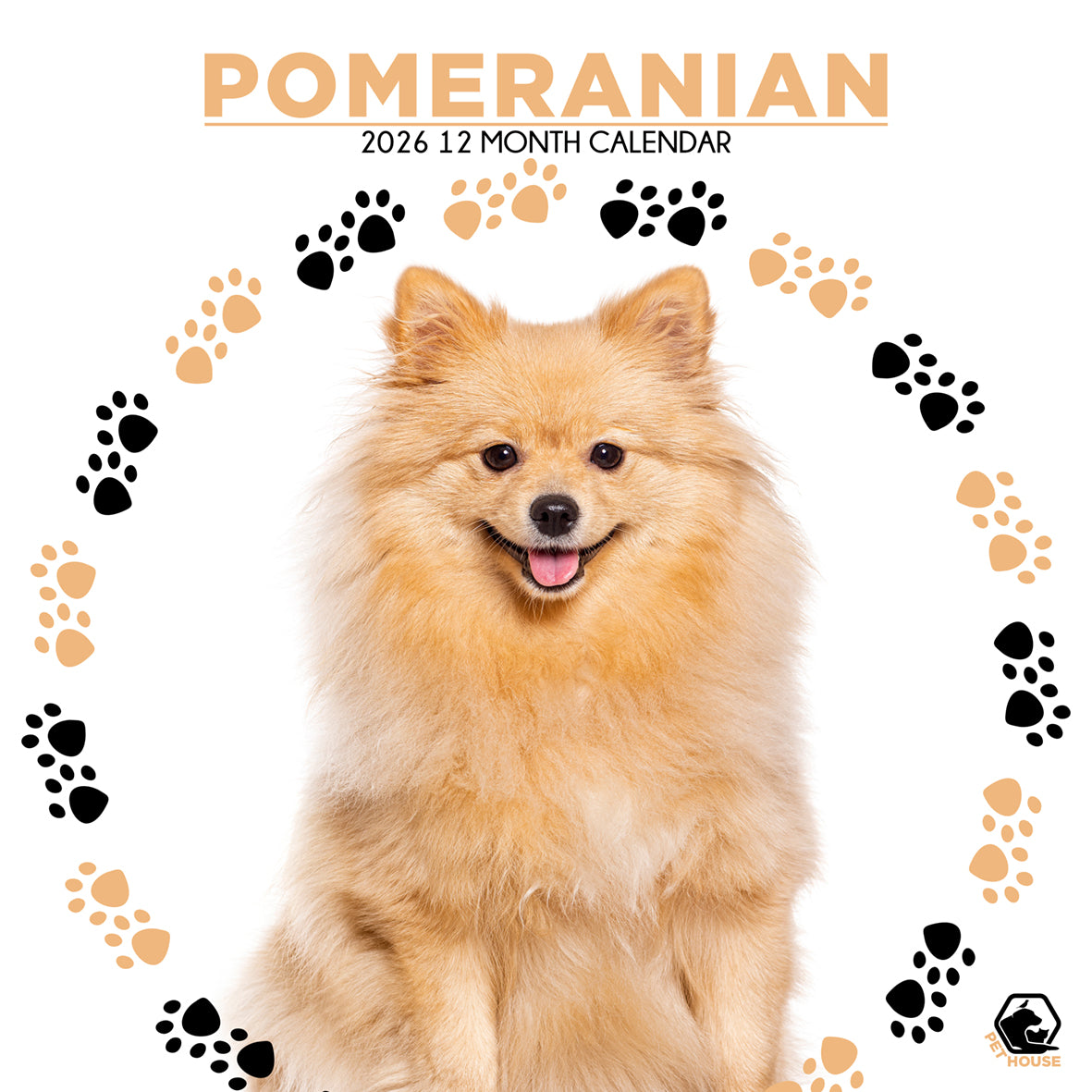 Pomeranian - Square Wholesale