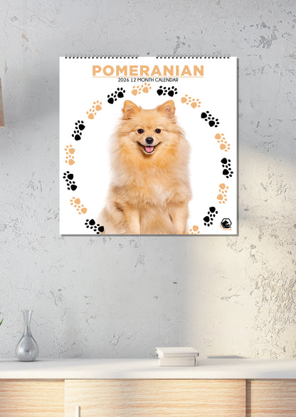 Pomeranian - Square Calendar 2026