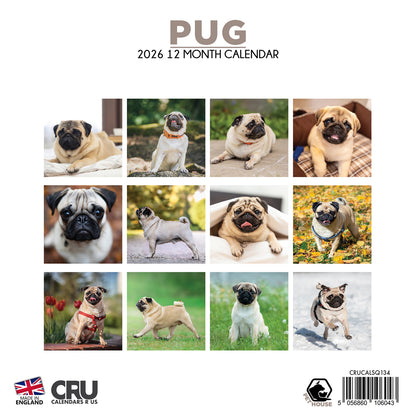 Pug Calendar - Square Calendar 2026