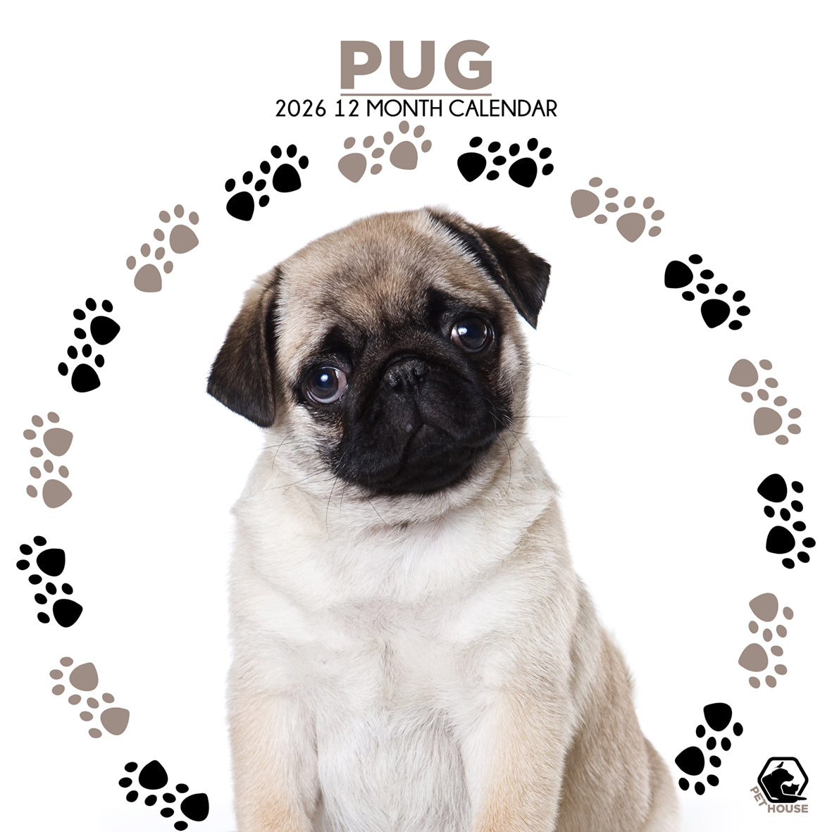 Pug Calendar - Square Calendar 2026