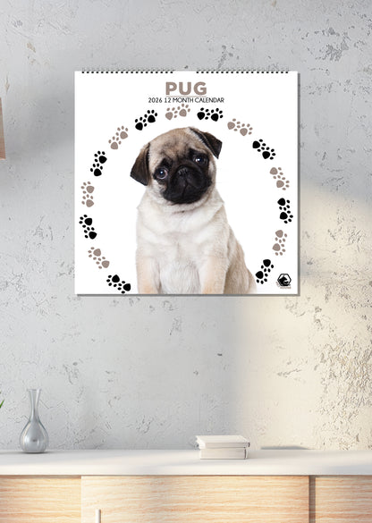 Pug Calendar - Square Calendar 2026
