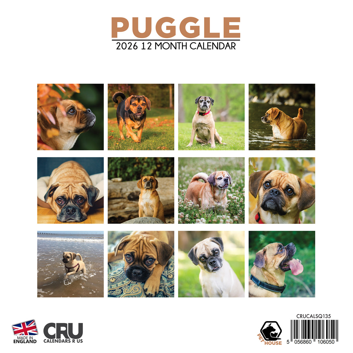 Puggle - Square Calendar 2026